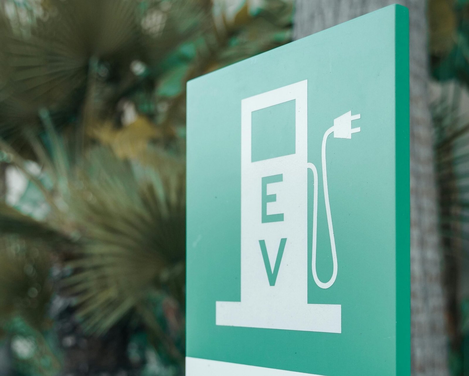 pexels-kindelmedia-9799997